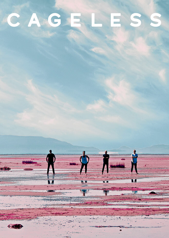 Band poster four members standing in distance on pink colored ground with blue sky behind them