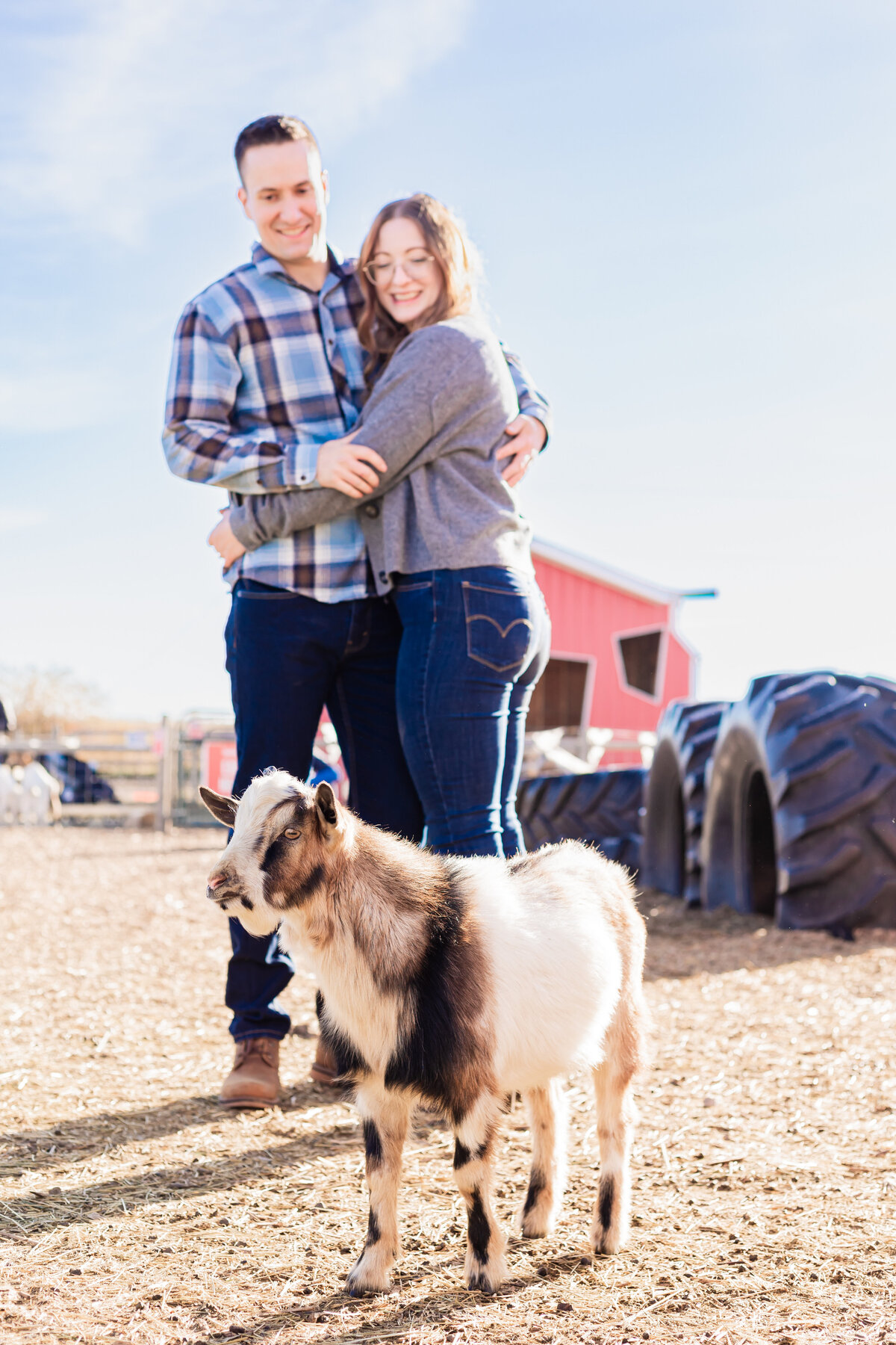 engagement-shoot-with-goat