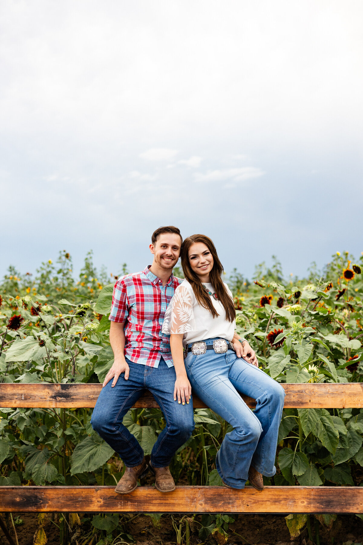 Colorado-sunflower-field-photography-19