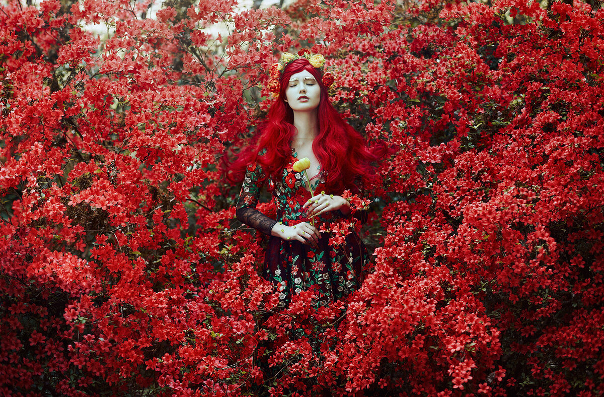 Bella Kotak -12