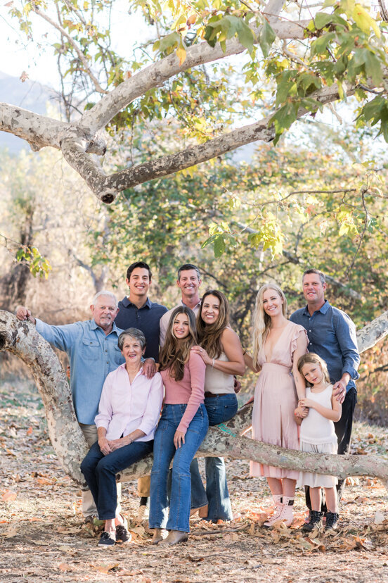 large-family-sitting-under-tree--sweetwater-river-bridge-san-diego