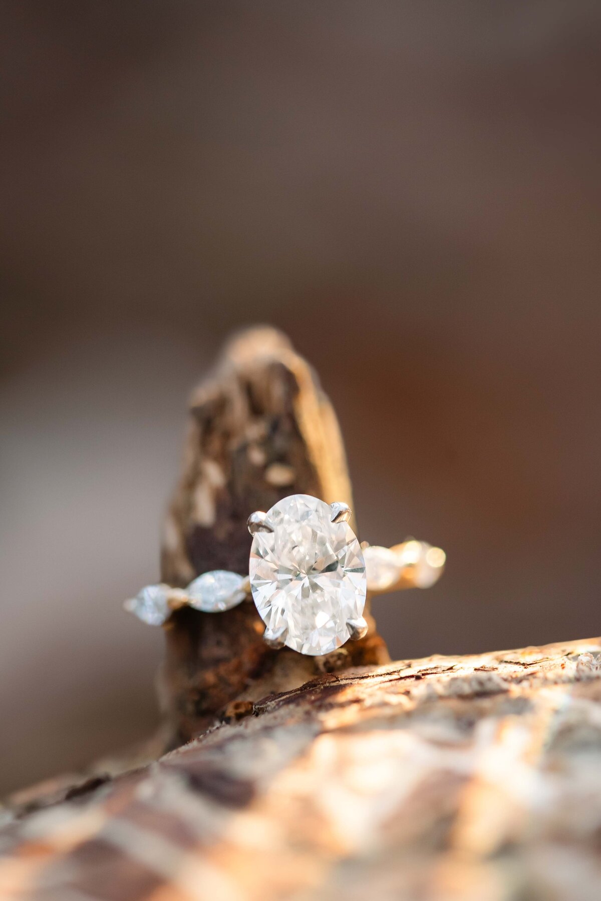 Tonia-Noe-Photography_1013