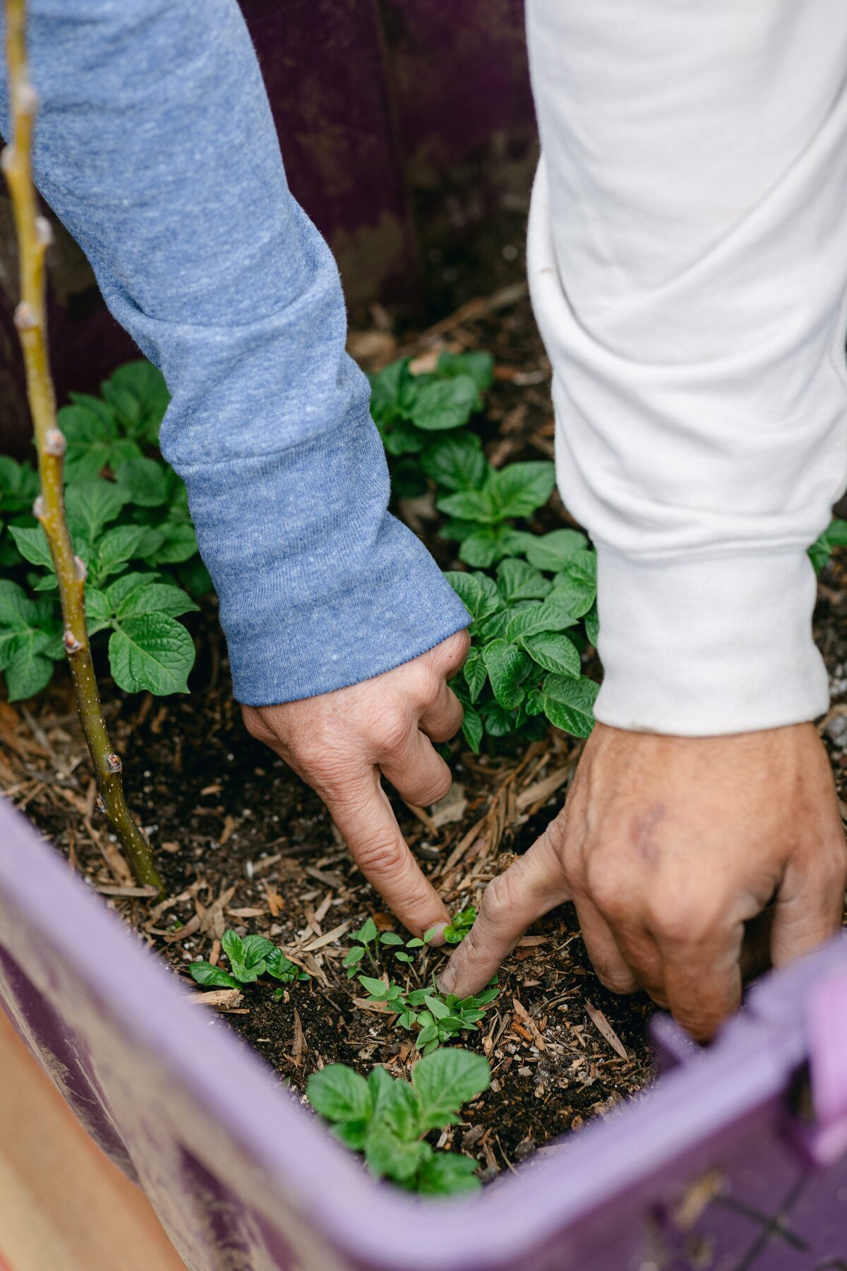 Leap-Lab-Science-Farm-Ventura-California-Santa-Paula-Non-Profit-0004