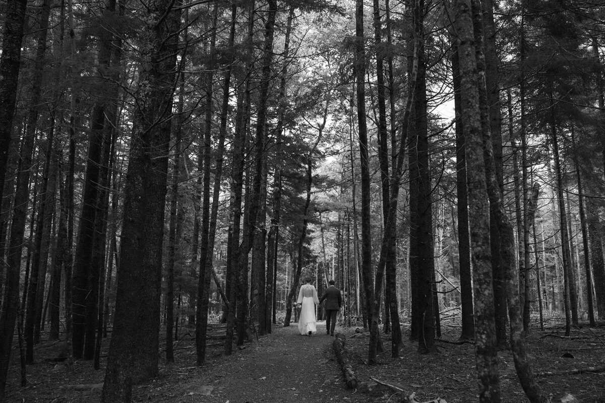 Amy & Matt Acadia Elopement-28