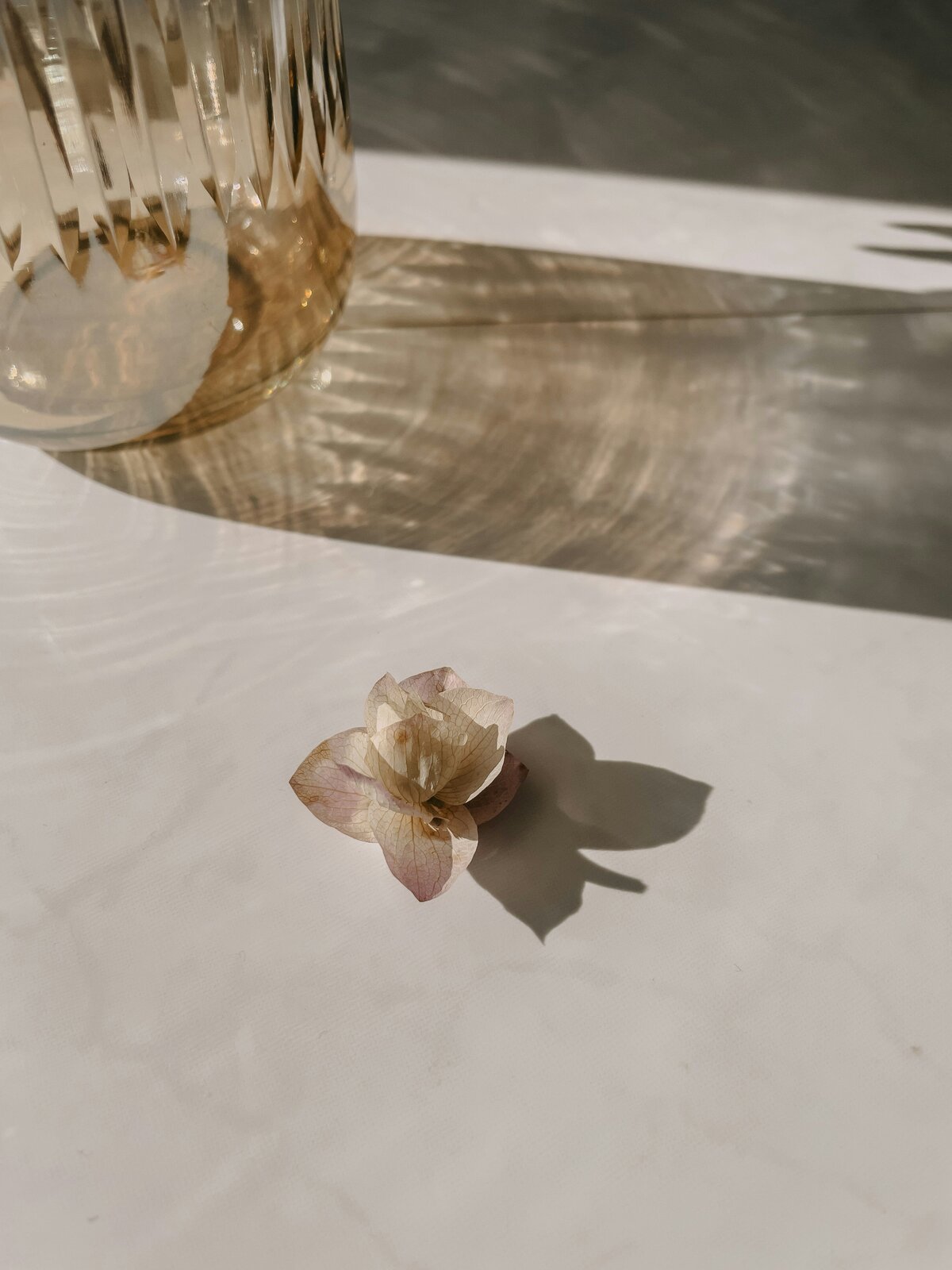camille-brodard-bjpEqlzMGVY-unsplash