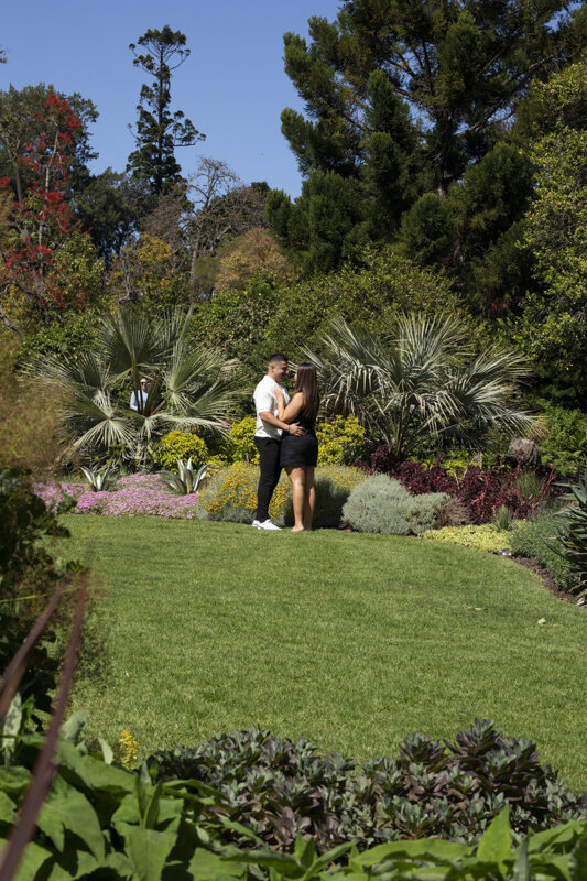 Surprise-Proposal-Liminal-Wonderland-Melbourne042