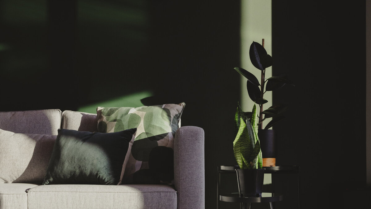 A beautiful lounge with green feature wall in a home built by Twin Peaks Construction Queenstown.