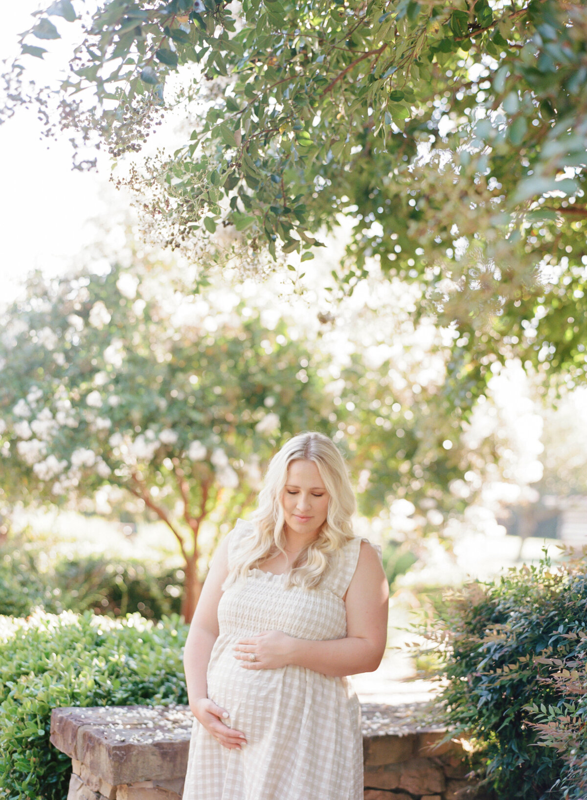 Image of an expectant mom under a blooming crepe myrtle. Maternity photographer in raleigh image by A.J. Dunlap Photography