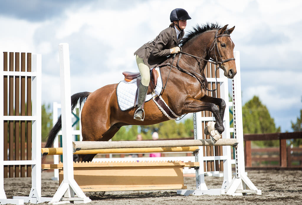 20190928_kya-photography-equestrian-photographer_0001
