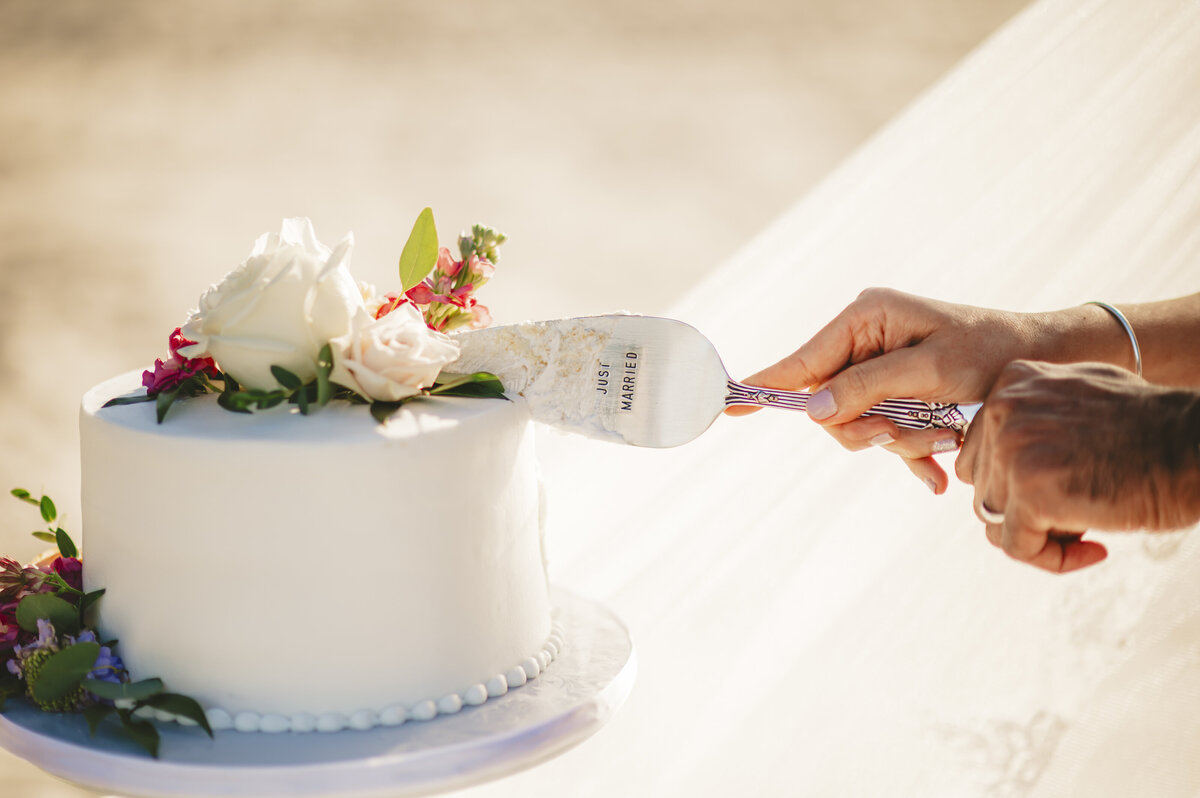 jonathan-hare-photo-isla-del-sol-elope-tampa-chantilly-chic-celebrations-4