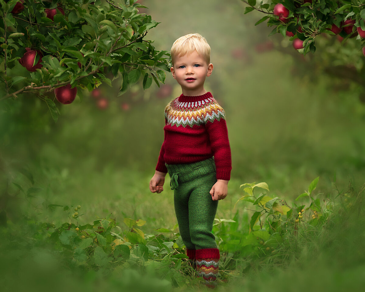 Plano-tx-childrens-photo-session-apples