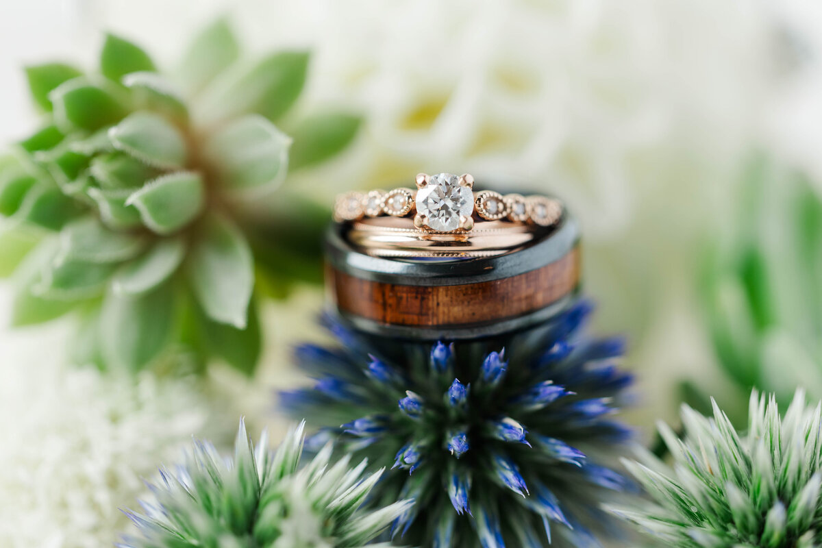Mattie Wezah Photography-0467