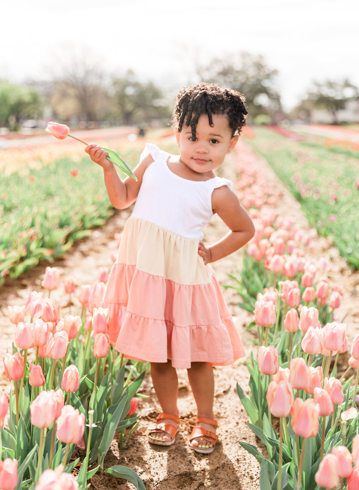 Tulipalooza24_EllisCountyMinis_JessicaDiarse_47