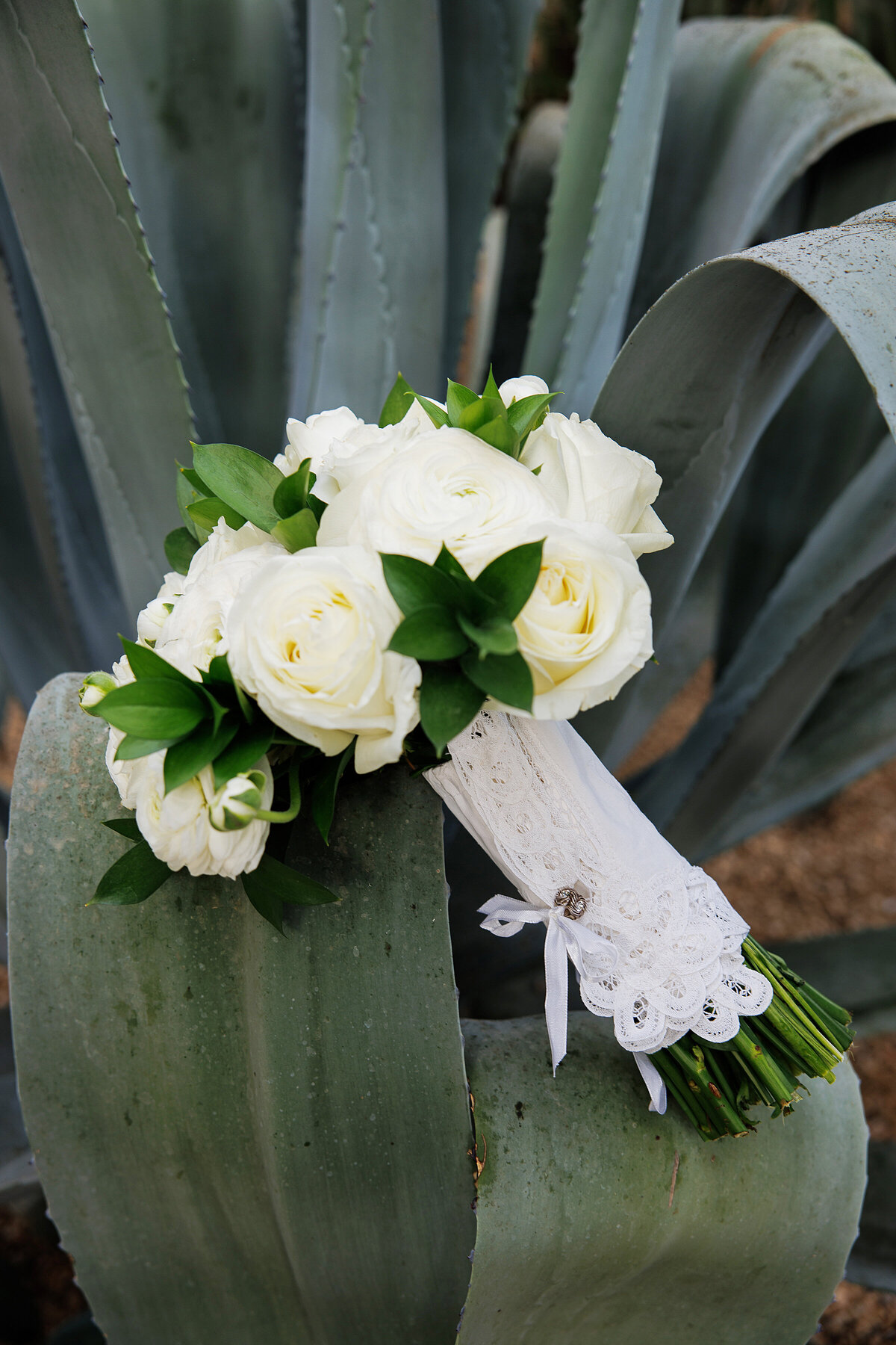 Destination wedding to Acre in Cabo