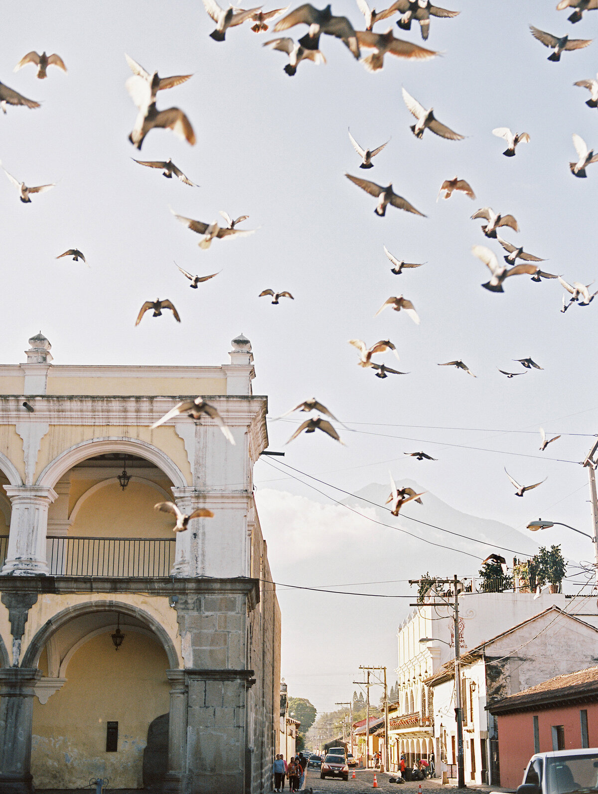 birds fly over ancient city