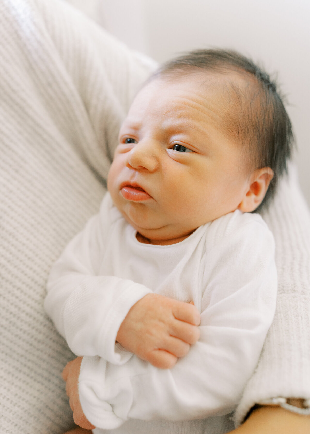 2024 Newborn Portaits Chicago.monicamirandaphotography (322 of 30)