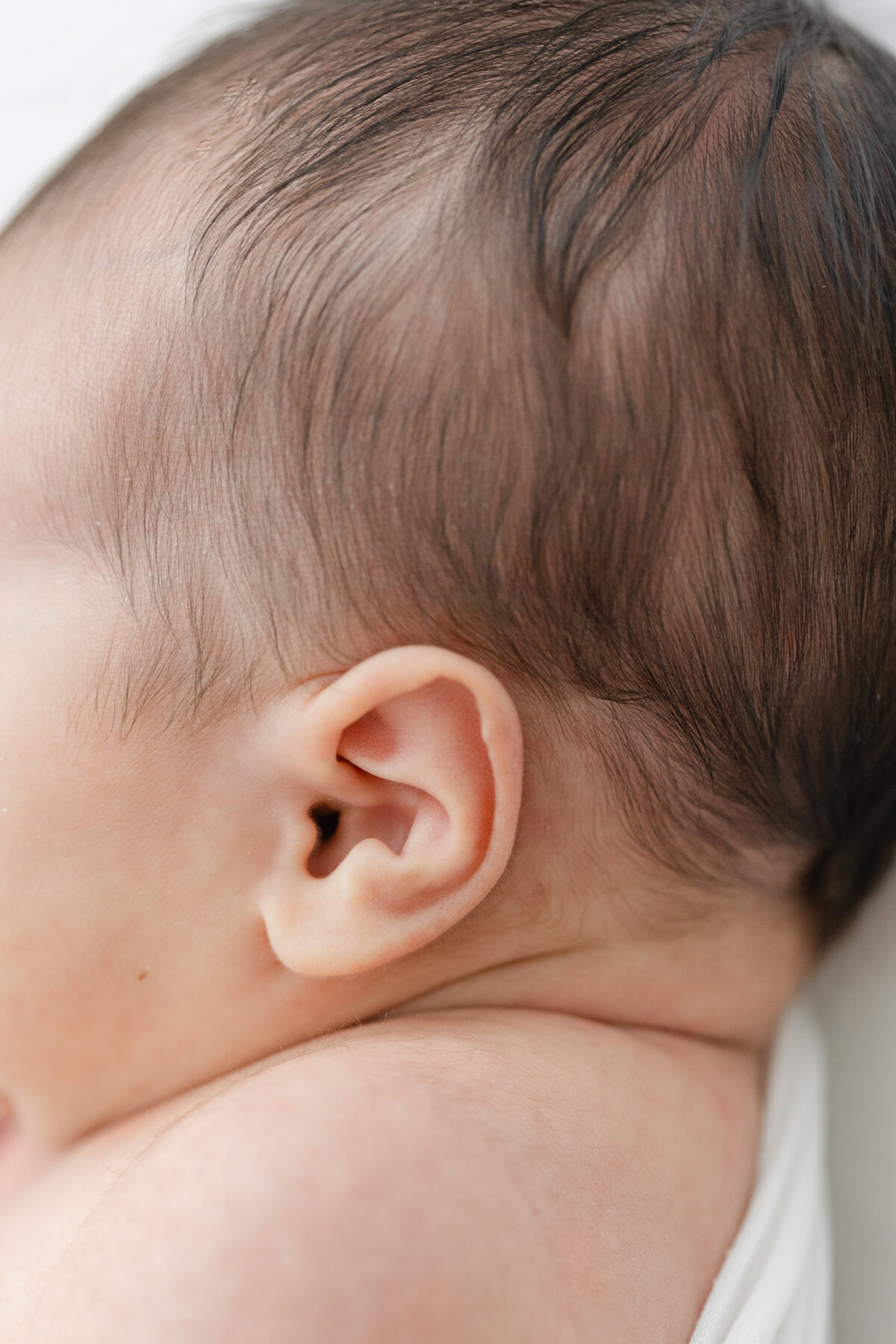 Philadelphia newborn portraits - 19