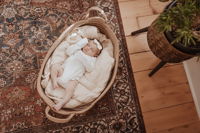 Baby in Basket