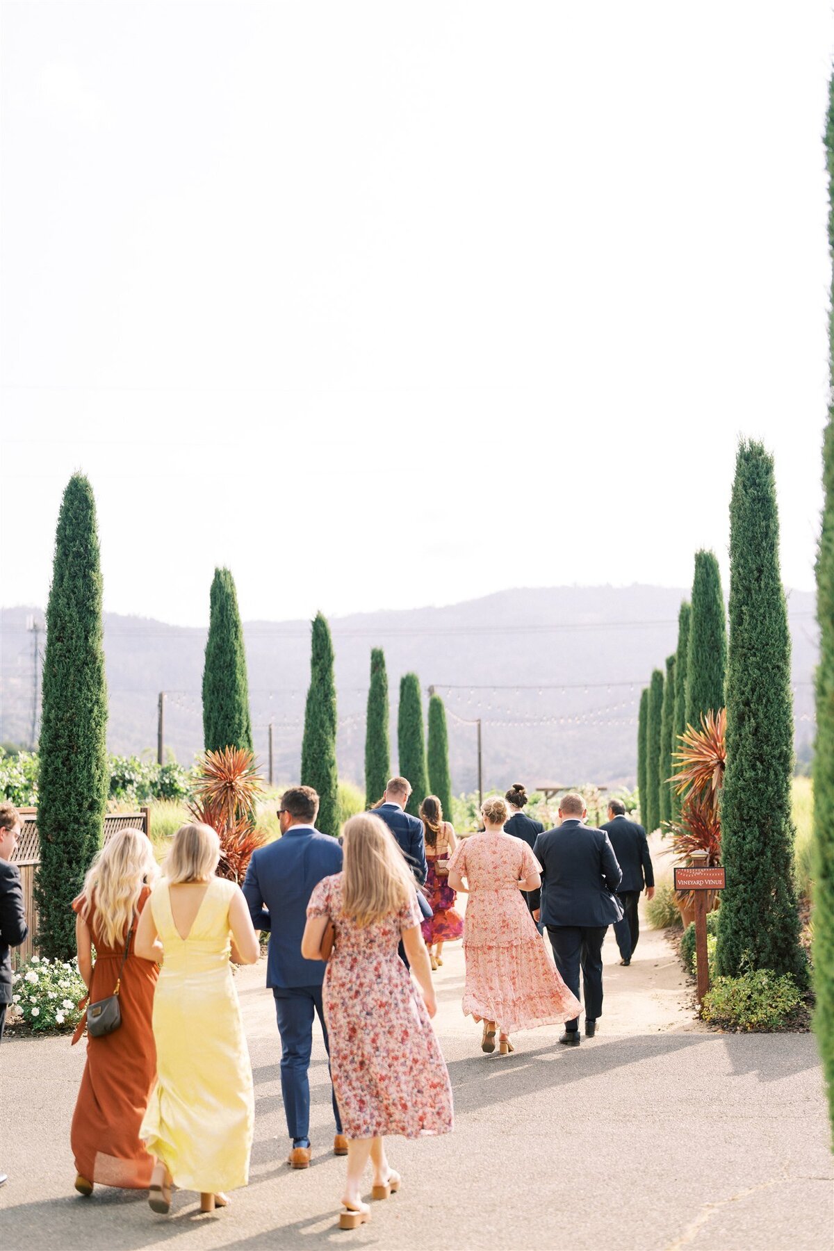 WILLOWAND-BEN-WEDDING-PHOTOGRAPHER-NAPA-31