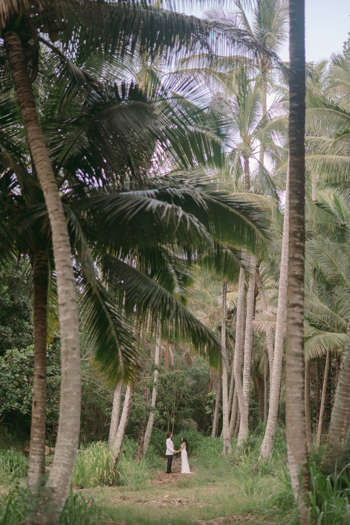 EulColWEDsp_244_1991a