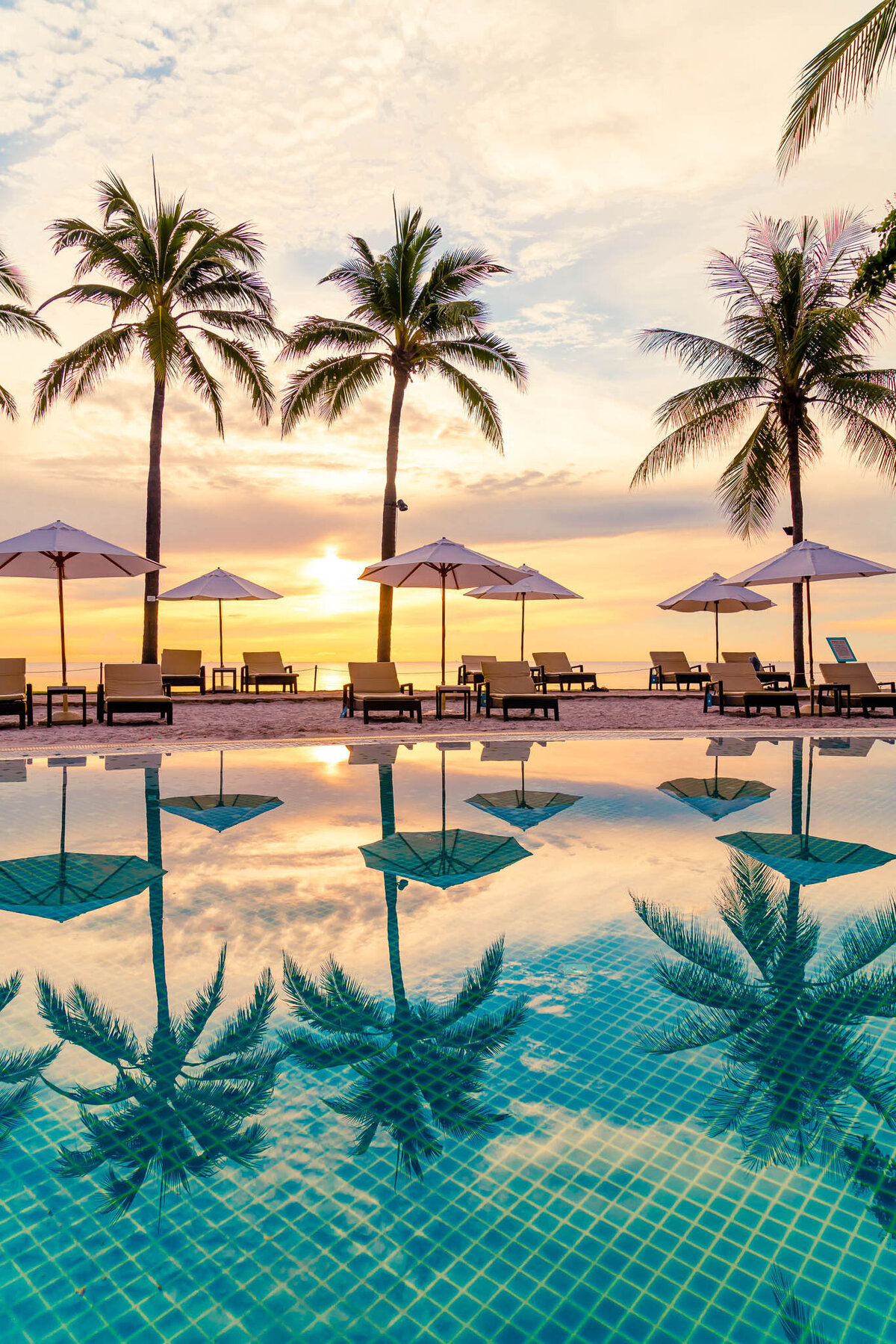 Tropical beach resort pool at sunset with palm trees and lounge chairs facing the ocean.