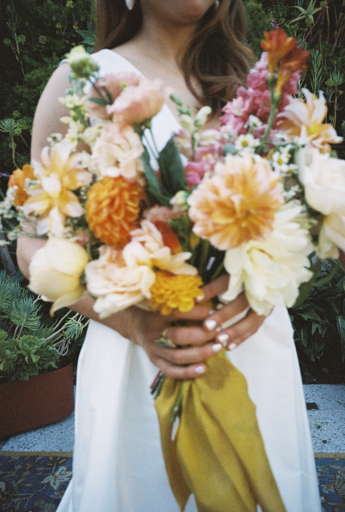 JNPFILM011