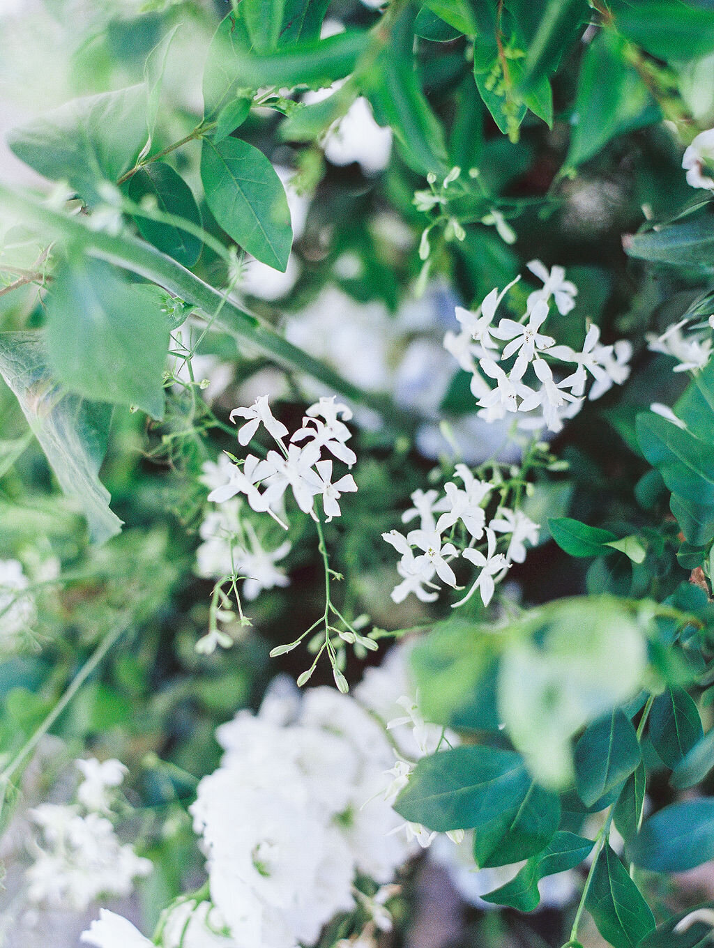 KatieTraufferPhotography-MaggieandNicoWedding-471