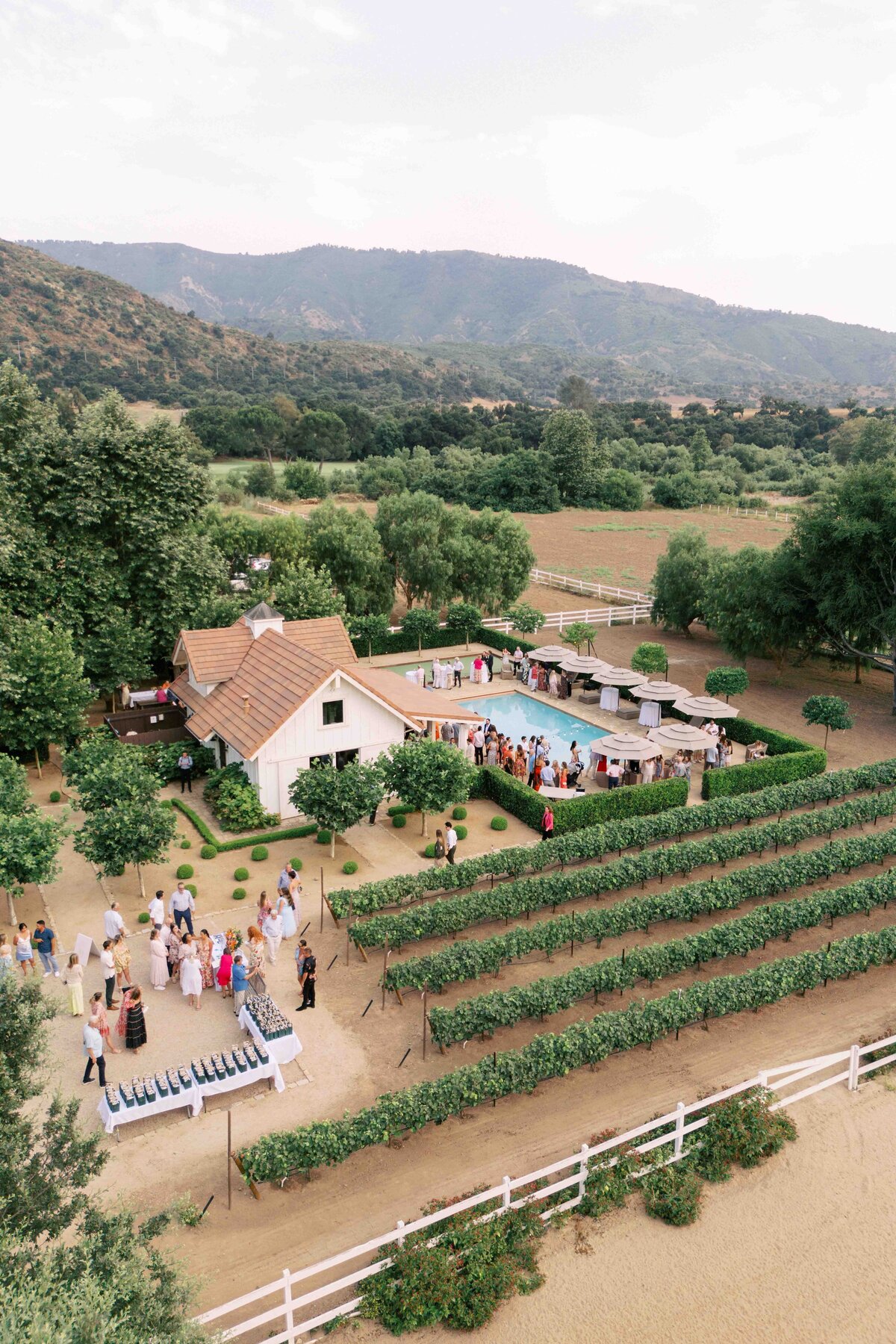 WILLOW-BEN-WEDDING-NAPA-PHOTOGRAPHER-65