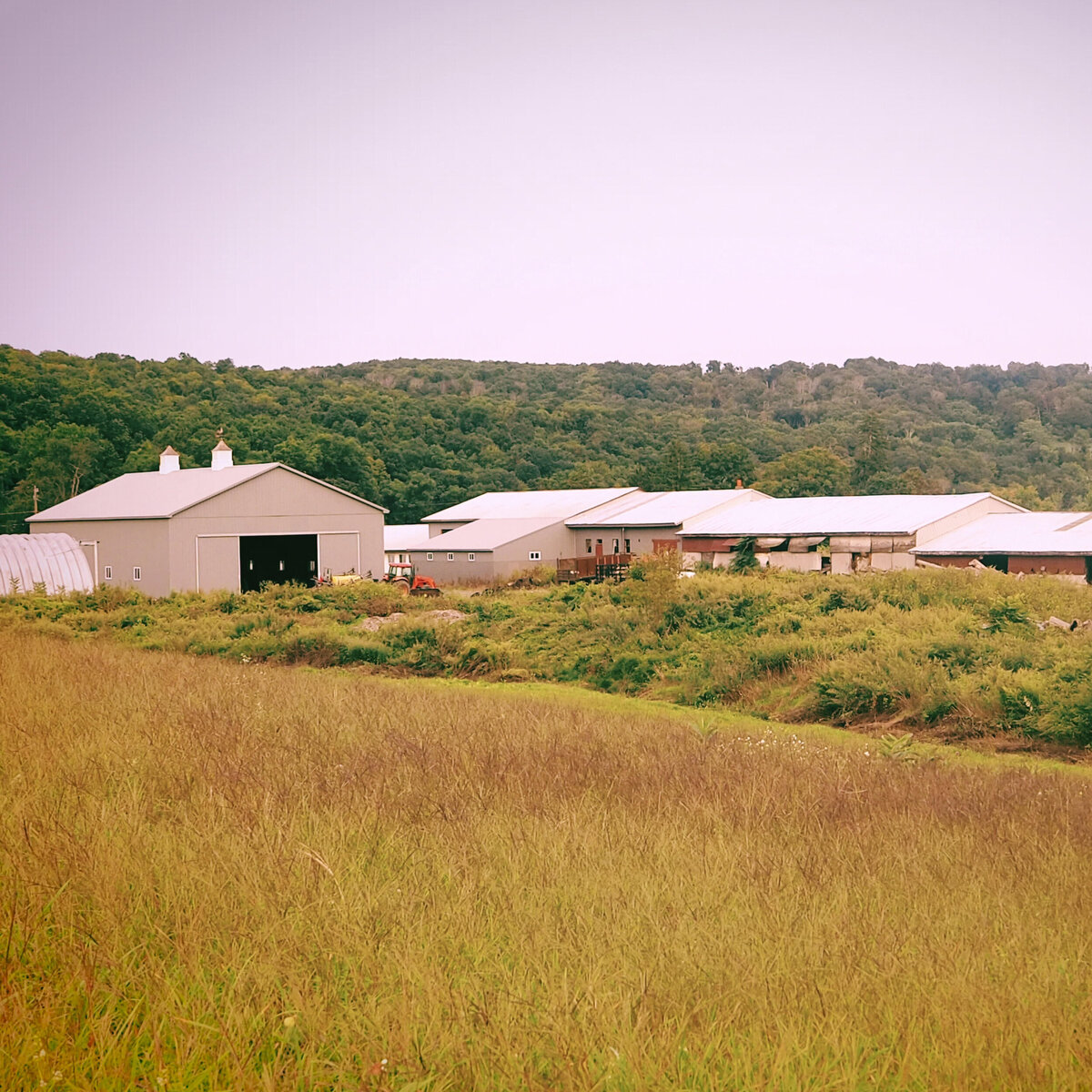500 Acres of farm land in Connecticut