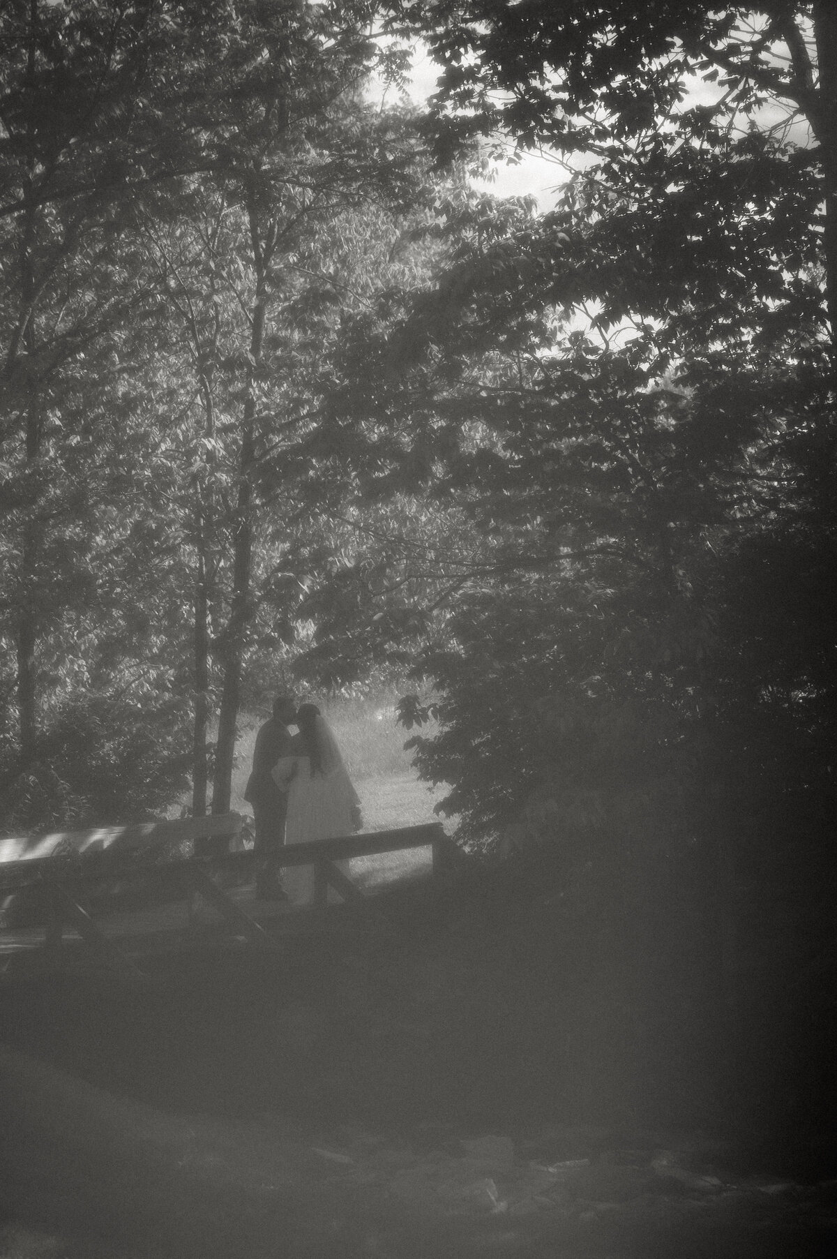 Z62_3096