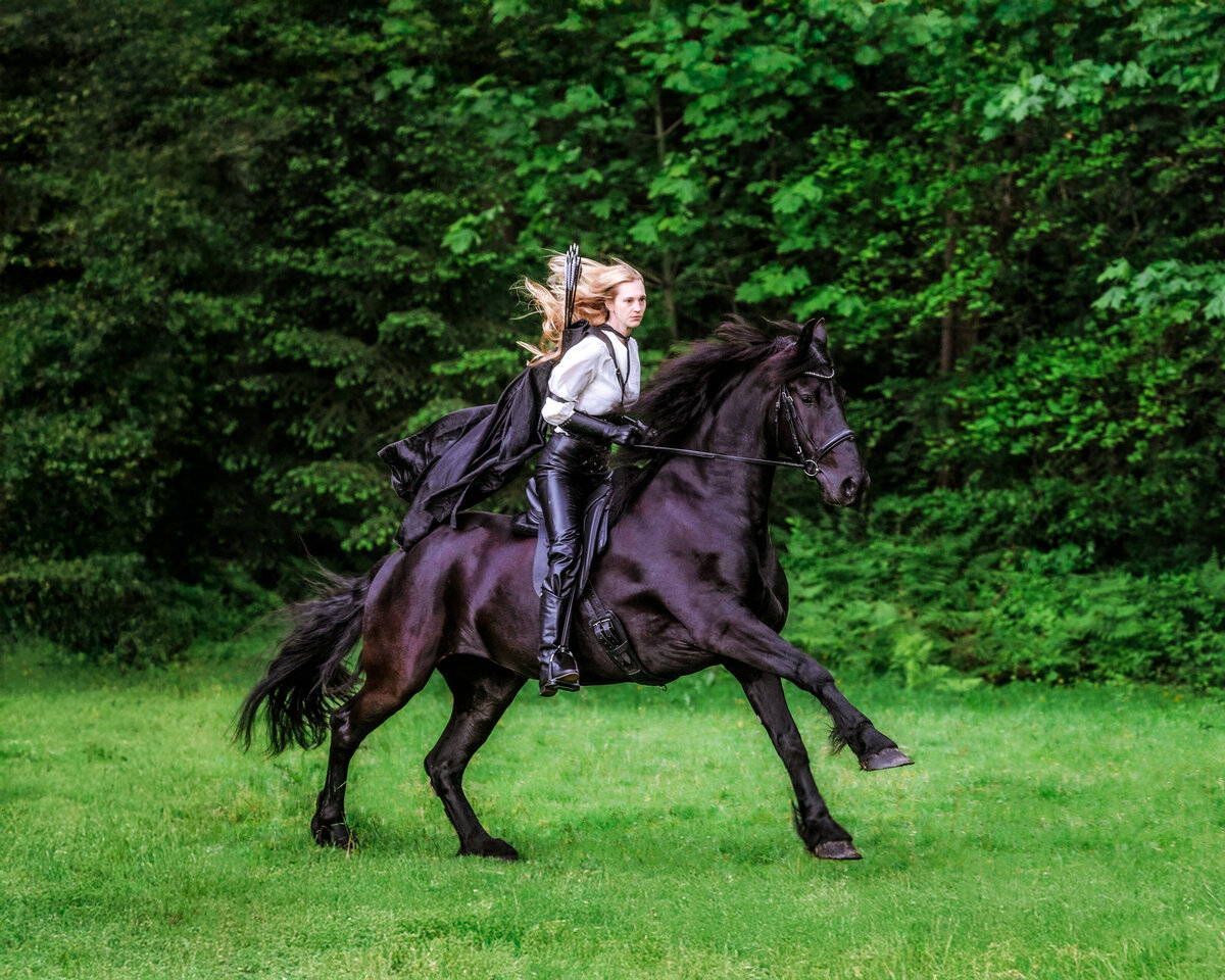 seattle-equine-photographer-2