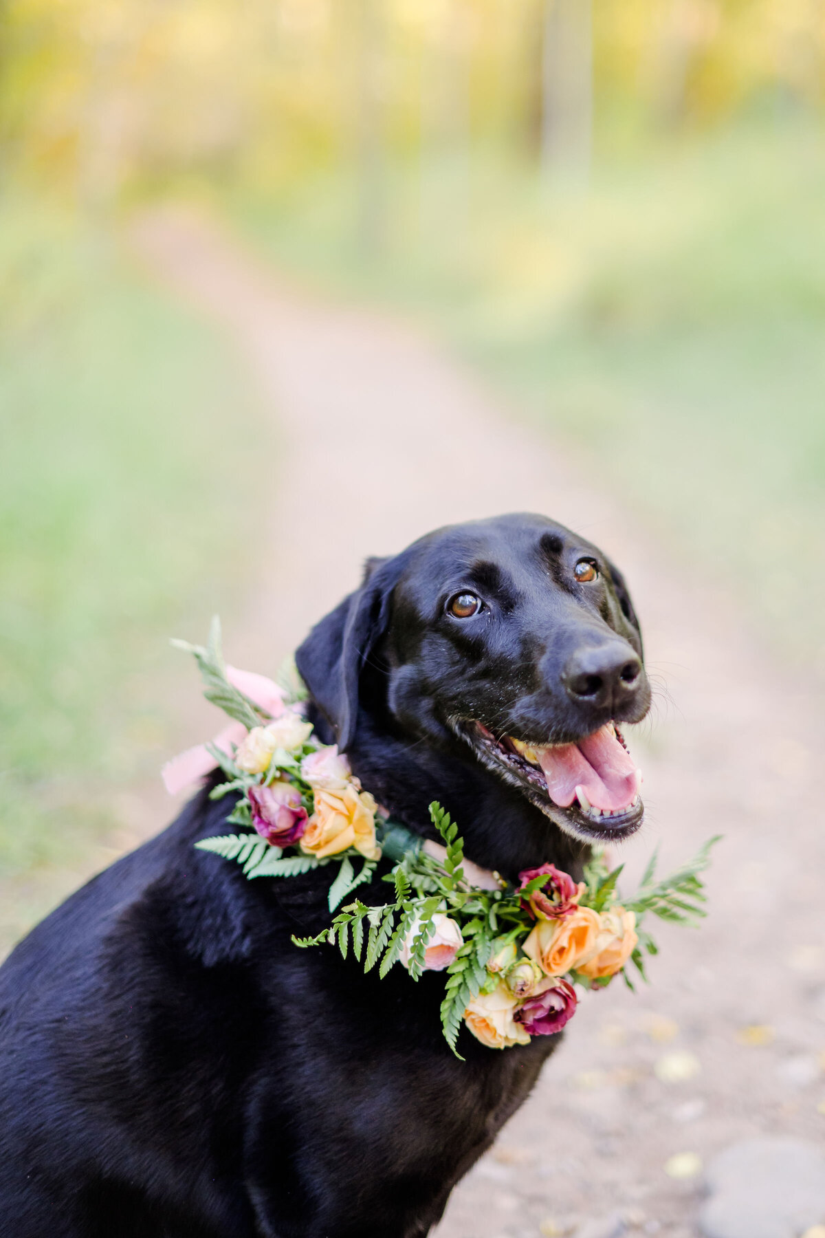079-Bridals_Aspen_Meadows_Hotel_Jerome_Aspen_Photographer_MaggShots_Photography