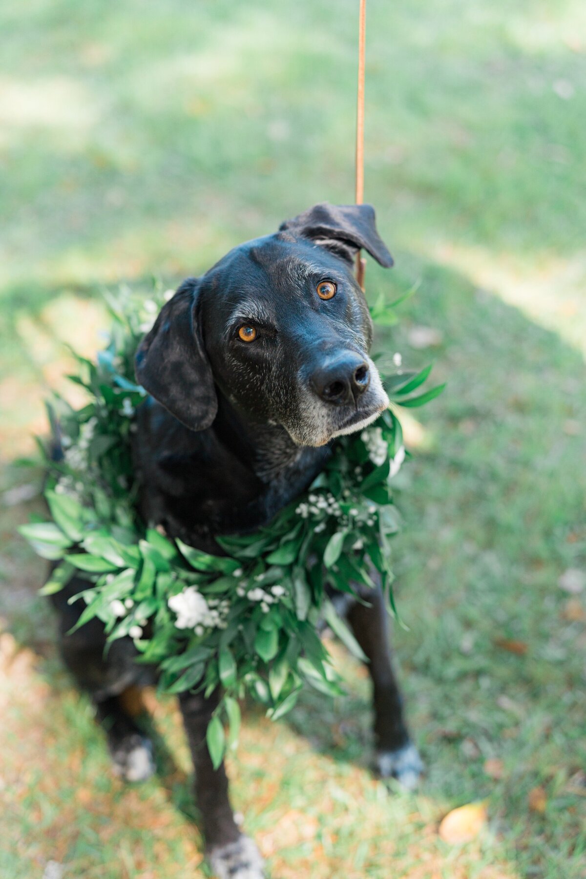 JoelleRyan_Old_Wide_Awake_wedding_kailee_dimeglio_photography-348