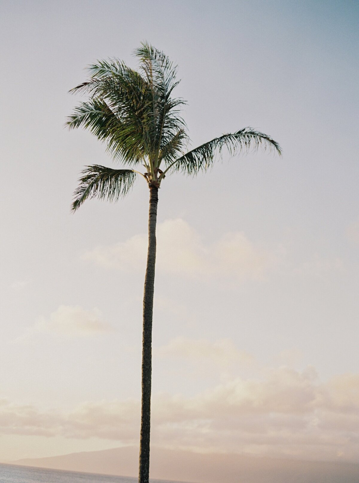 Samantha Aaron Judge Maui Wedding_Lauren Fair0029