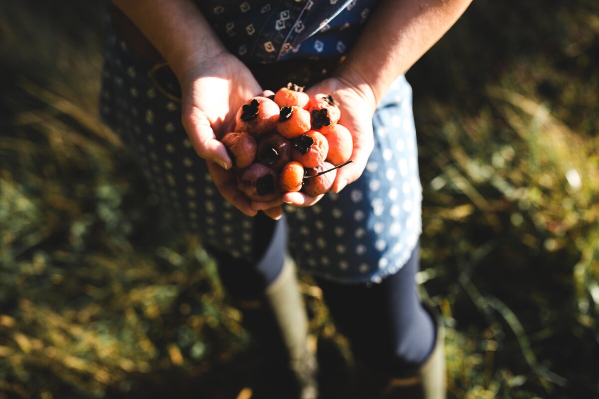1149_foodhedge_heather2018_philadelphia brand photographer