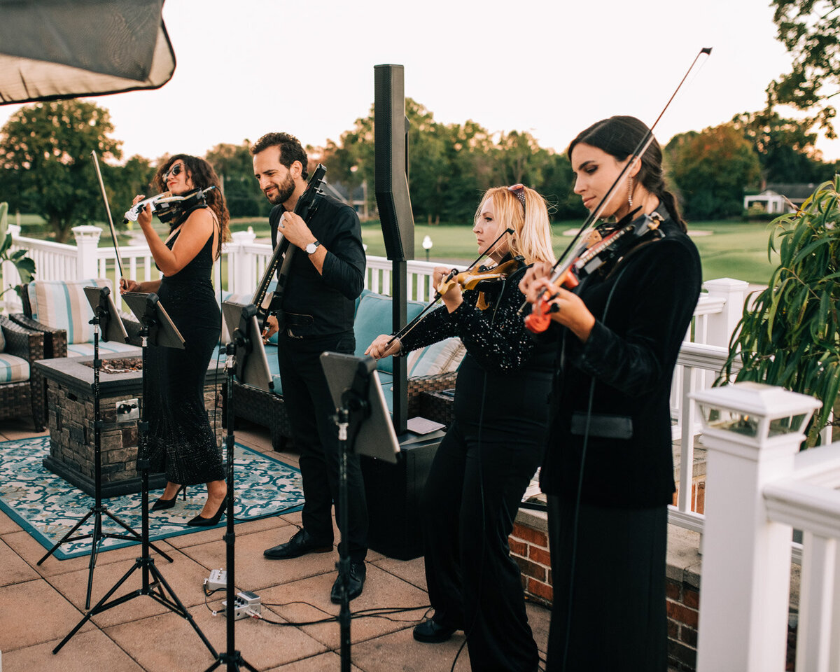 Elegance Quartet musicians performing in outdoor events