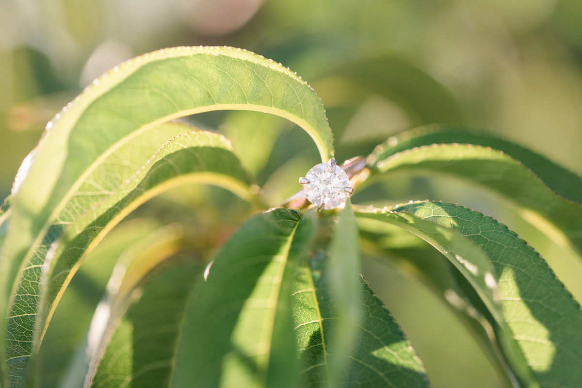 Jennifer B Photography-Jordan & Emily's Engagement Session-2019-0184
