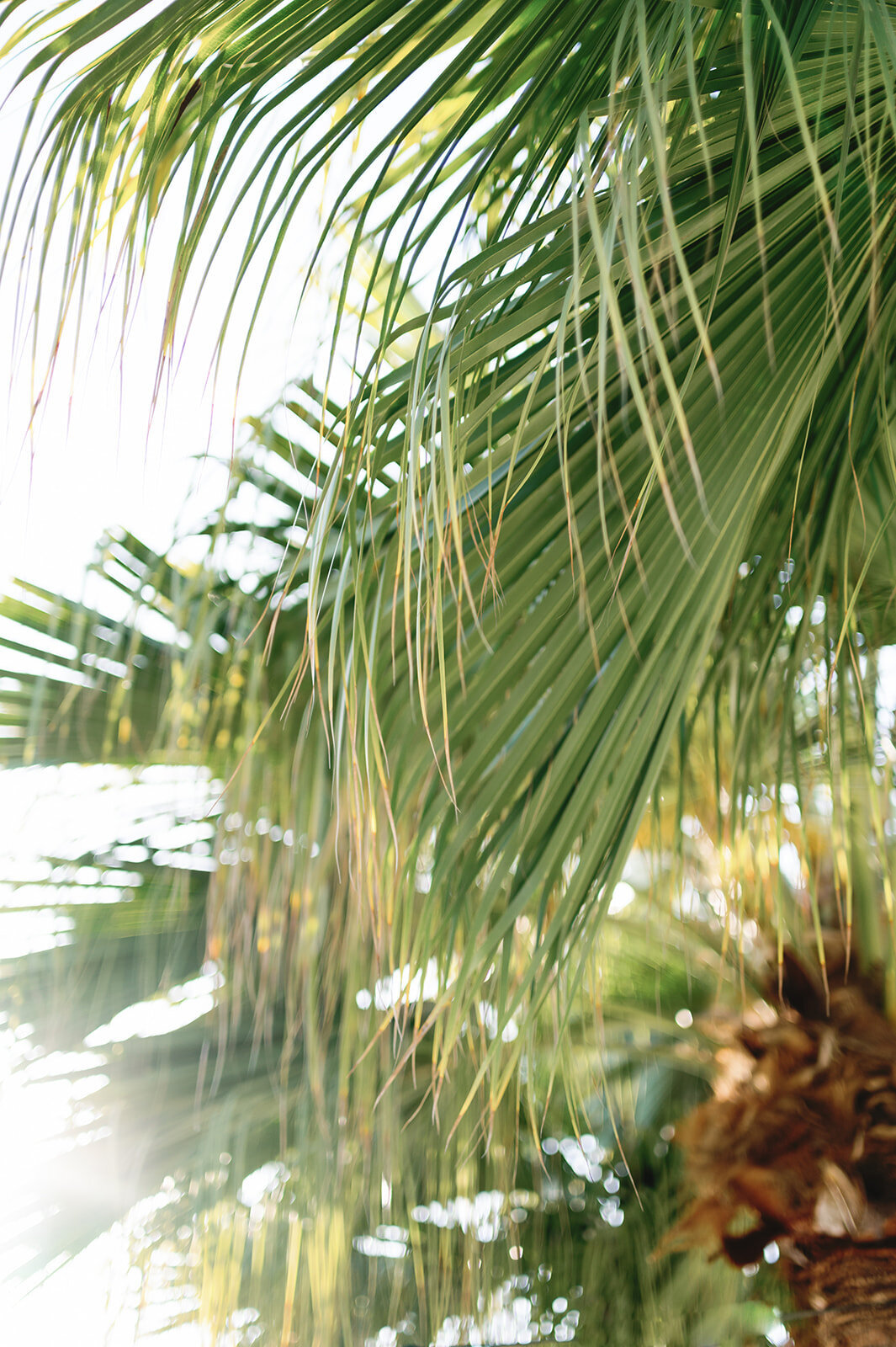 Photography_Hybrid_Wedding_Photos_2025-0199