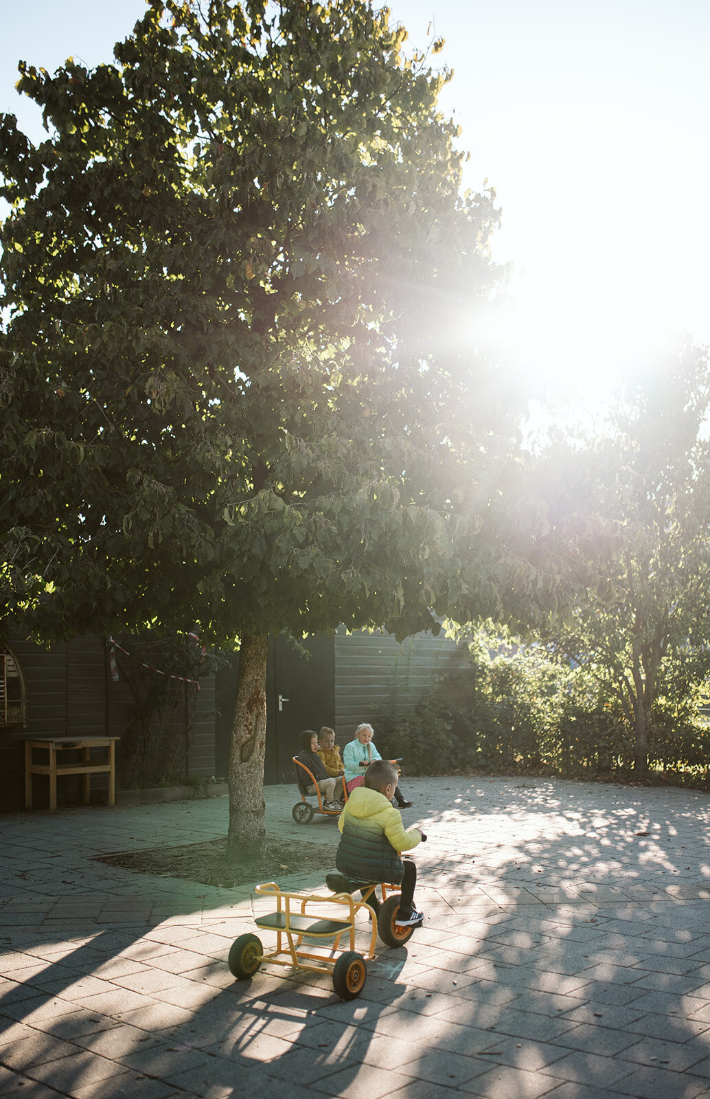 Marianne Bal Photography Business OBS De Bogerd Rossum-70