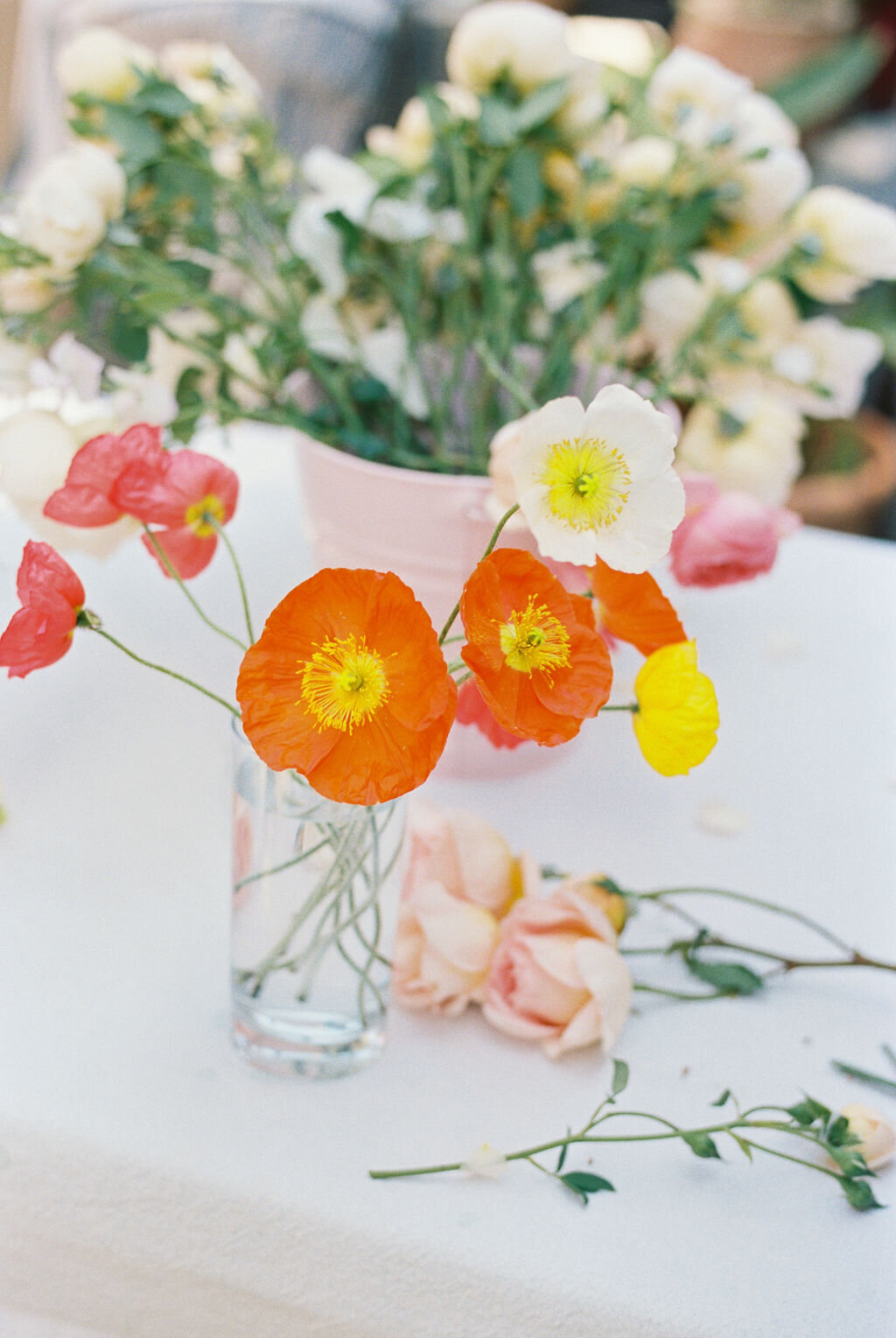 Poppies on Table