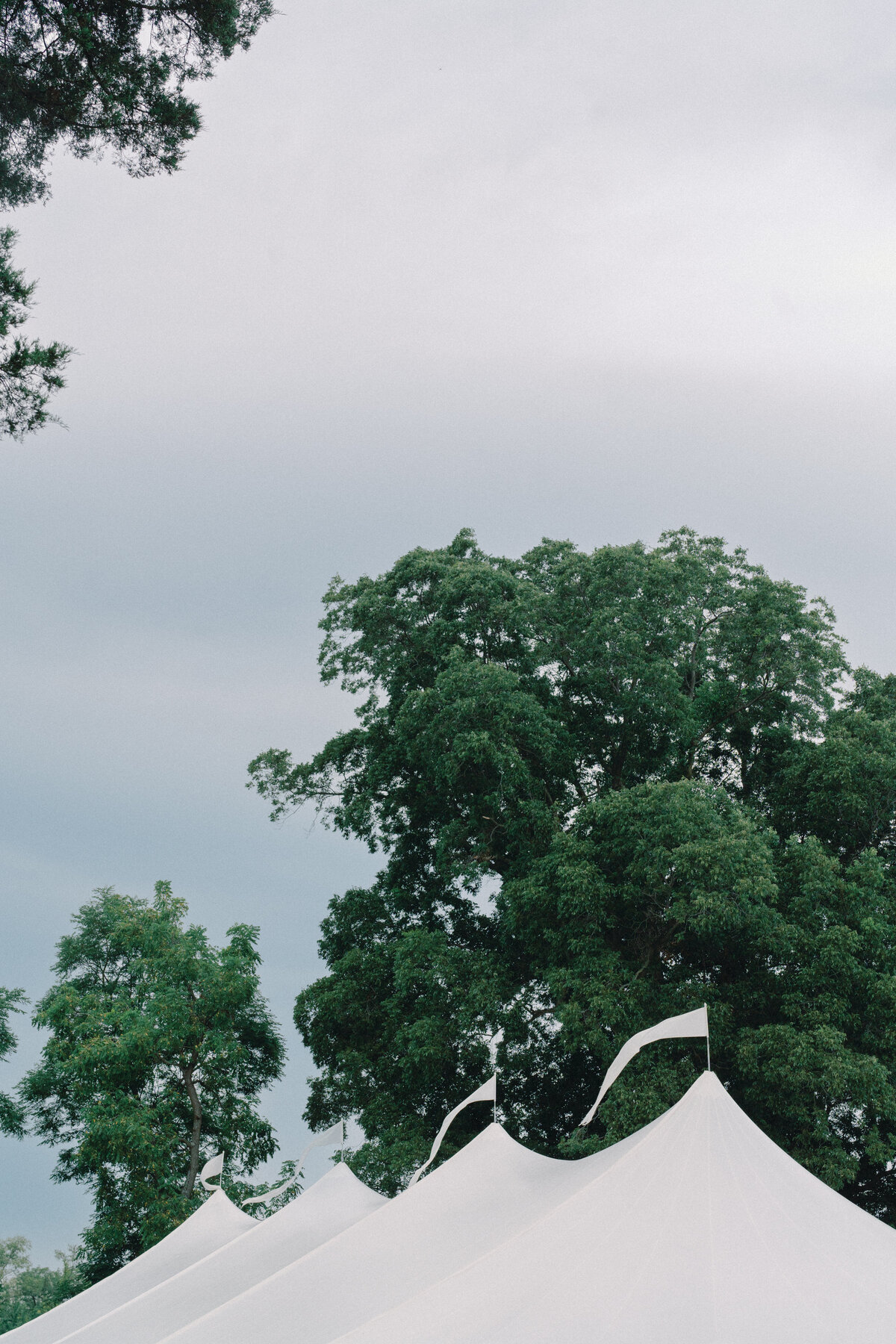 Grace & Ardor Co. East Coast Wedding Engagement Photography Pennsylvania New York City New Jersey Timeless Bold Art Direction Editorial Erin McGeever39