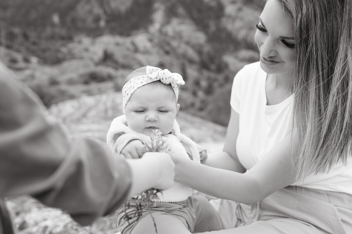 Sam-Murch-Photography-Ouray-Colorado-Spring-Family-Photography-106