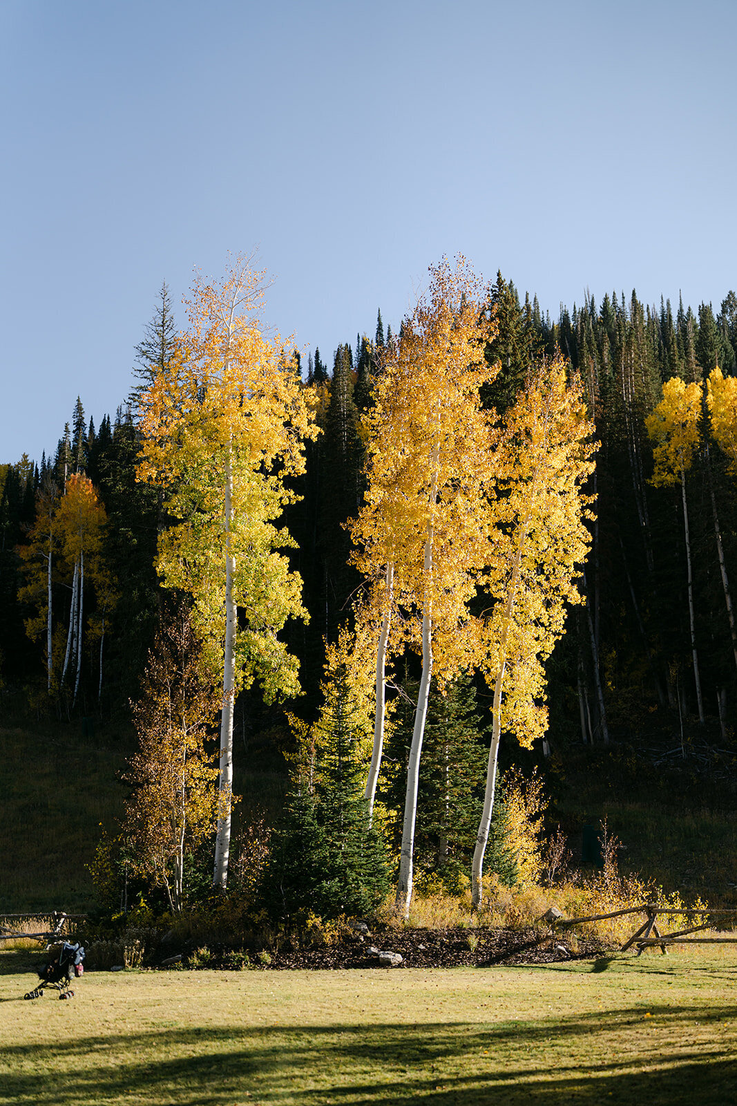 deer-valley-fall-park-city-mountain-wedding-pepper-nix-2130-1062