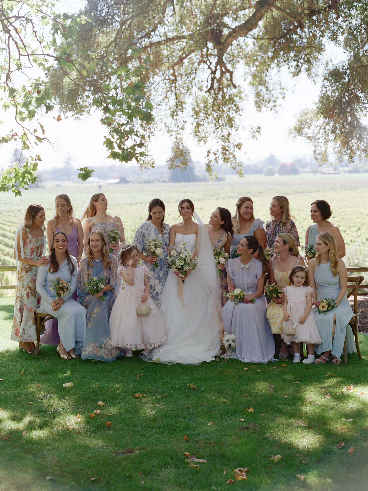 healdsburg wedding photographer