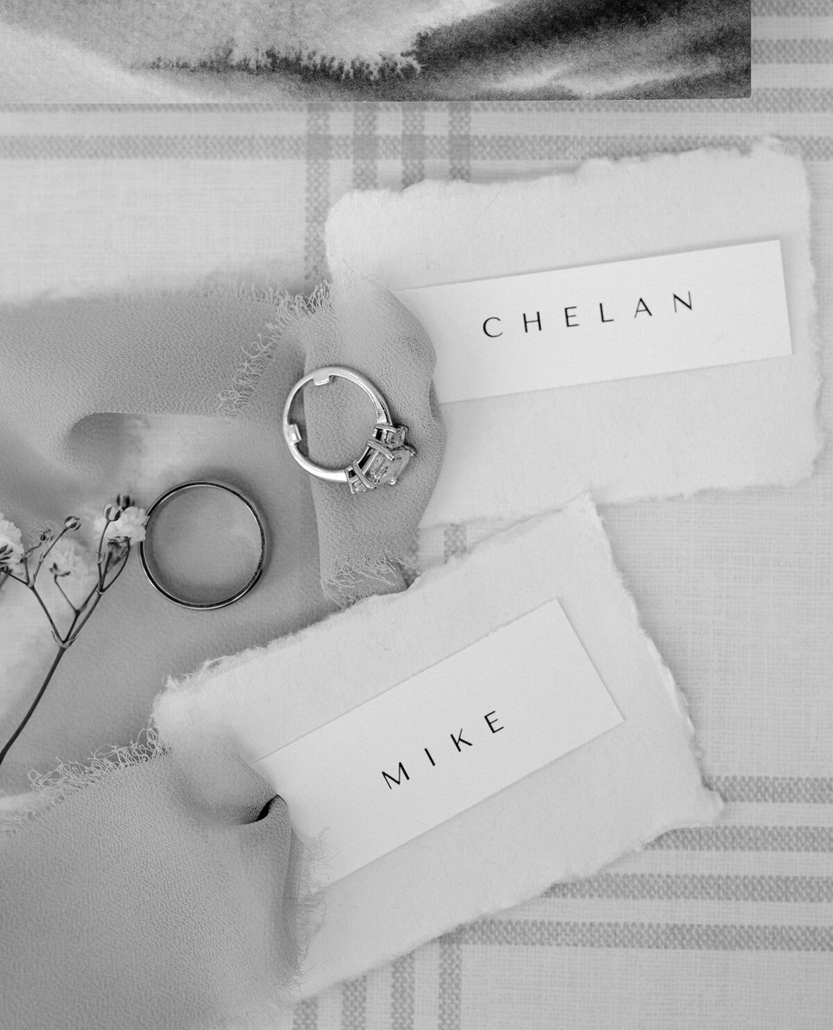 sneak peek-101