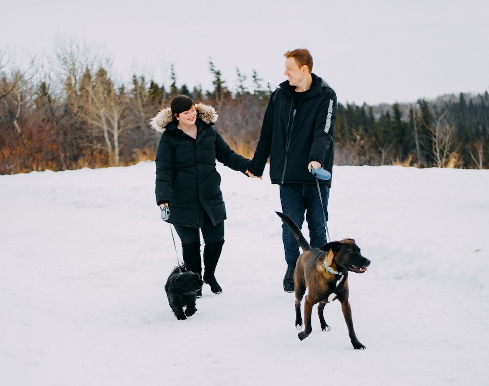 Edmonton couple hold hands and their two dogs on leashes in their black winter coats with snow on the ground