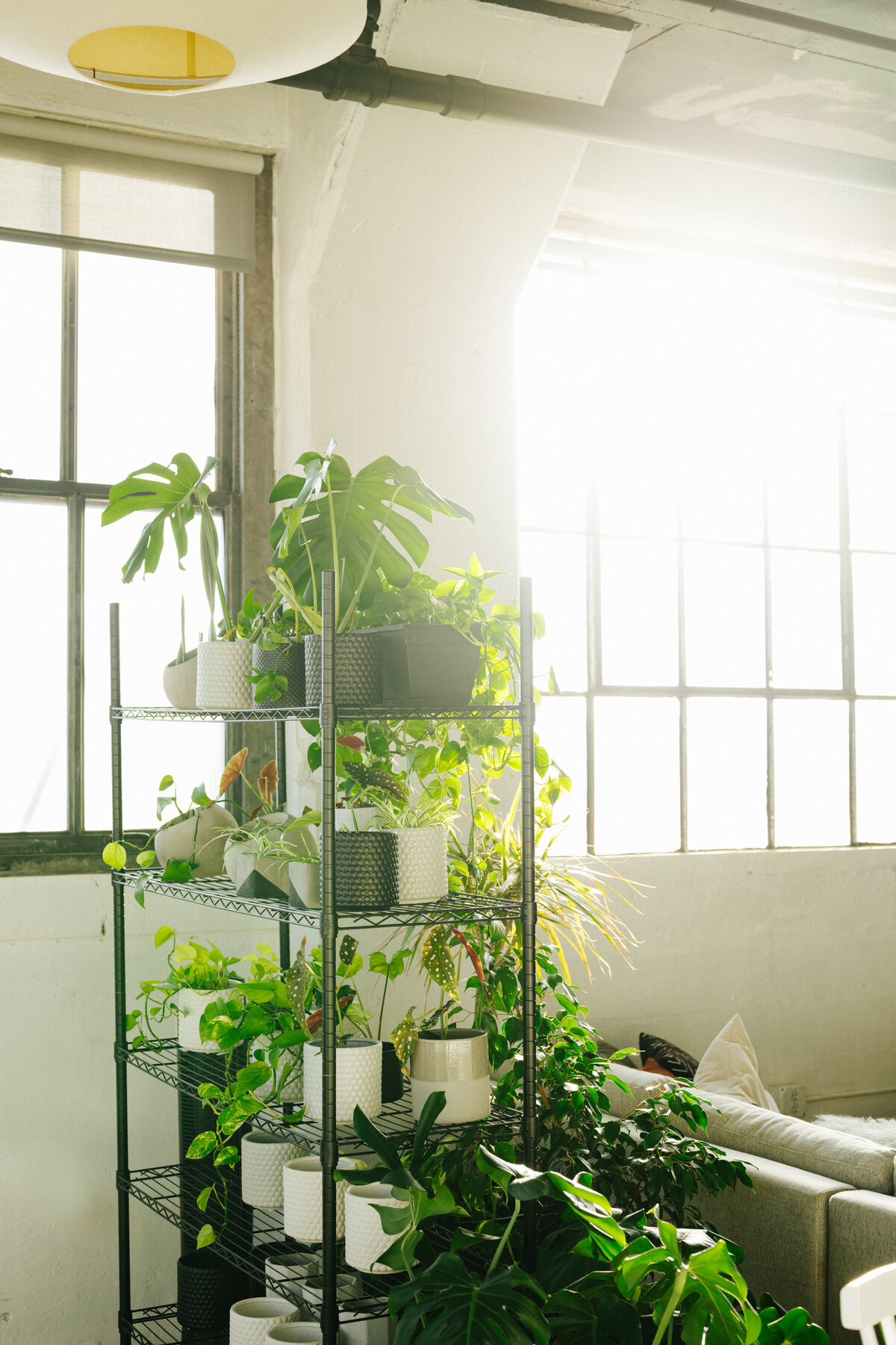 Green-Room-Studio-0567