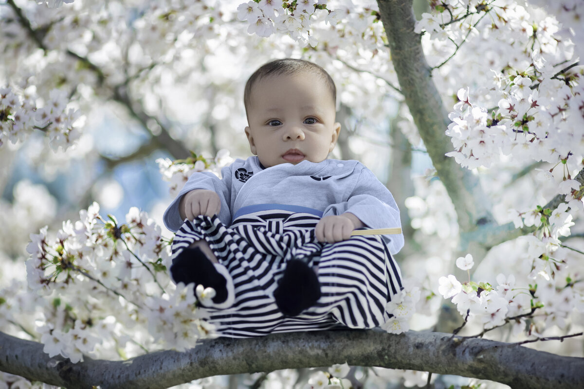 _jpeg_fullsize-NoahTreeWorkedii