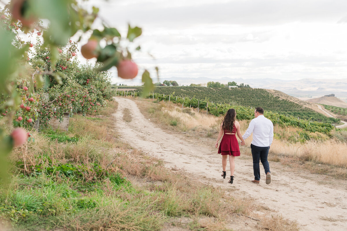 A Ste. Chapelle Winery Engagement Session-22