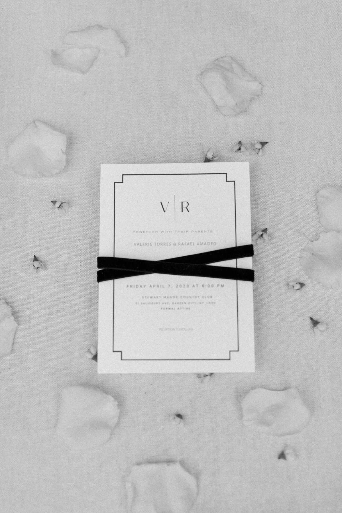 V&R-Wedding-8312-2